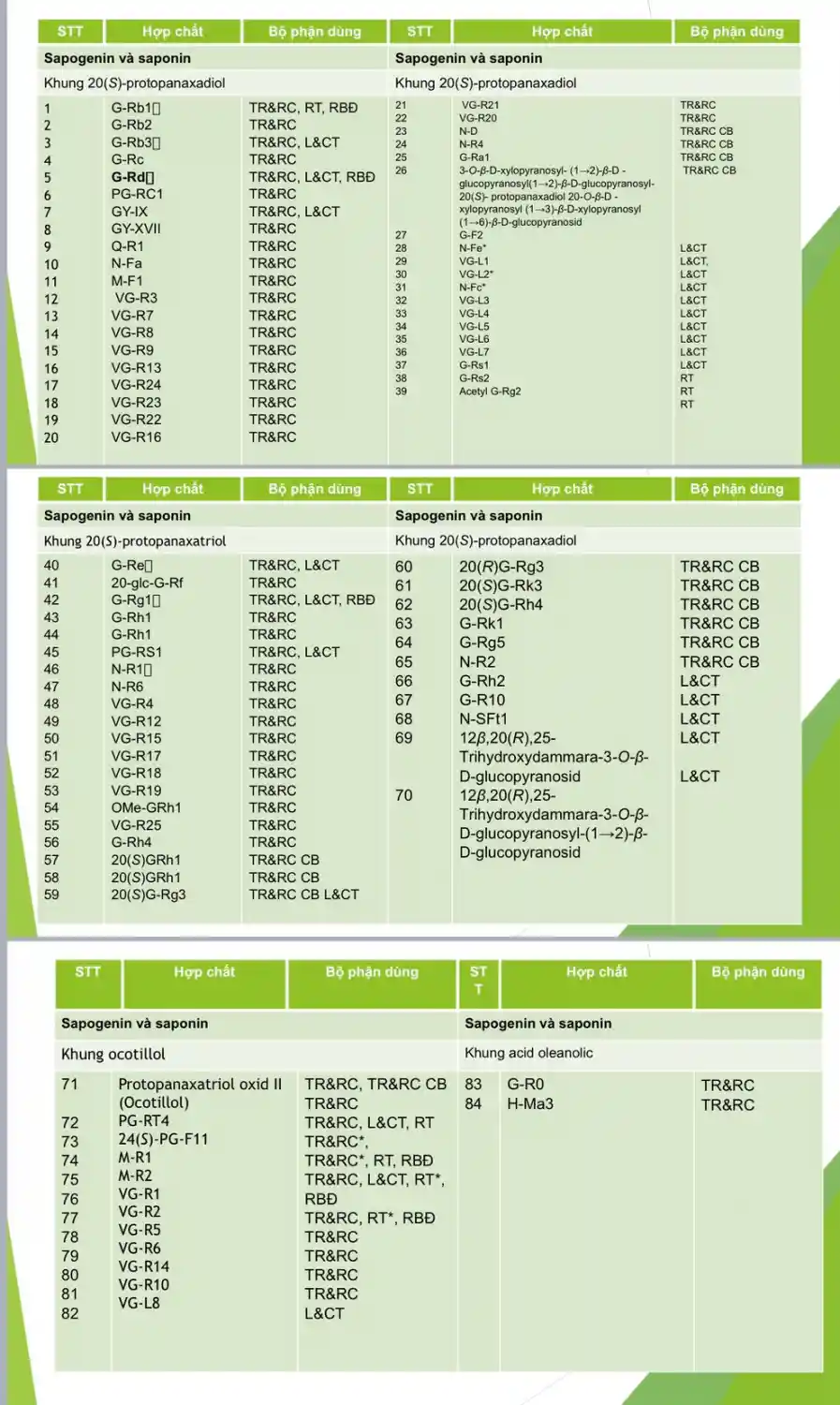 Cu sam ngoc linh sam sam 02