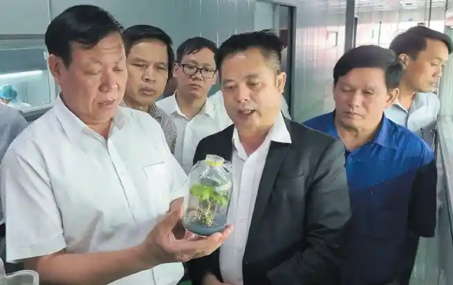 Thứ trưởng Bộ Y tế Đỗ Xuân Tuyên (đầu tiên từ trái qua) đến thăm và làm việc với Sâm Sâm Group về phát triển vùng dược liệu công nghệ cao, tháng 12/2022