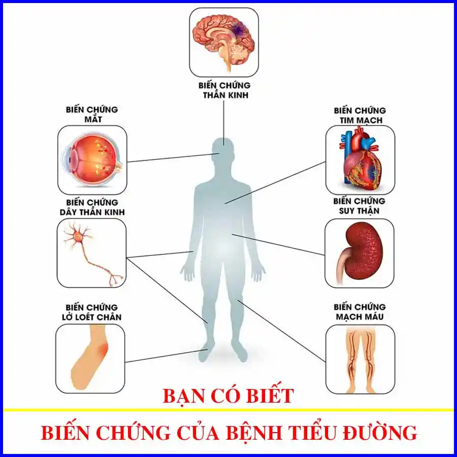 Sam ngoc linh ho tro dieu tri benh tieu duong nhu the nao 01