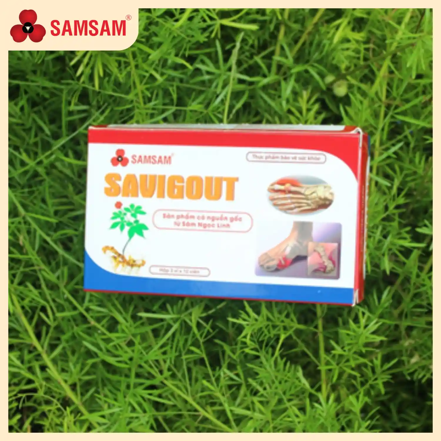 Savigout sam sam 01